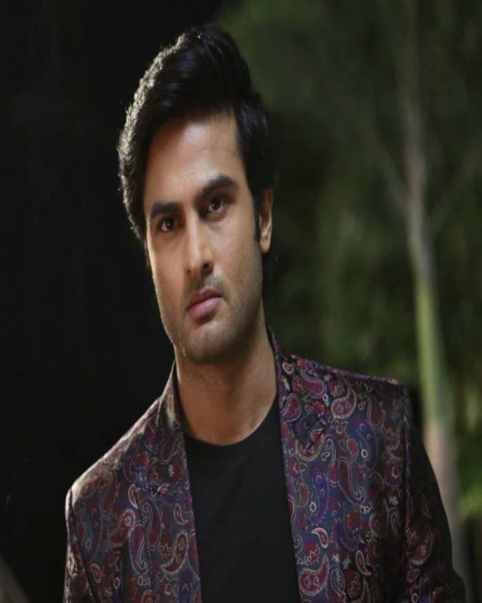 sudheer babu_teluguvox 4
